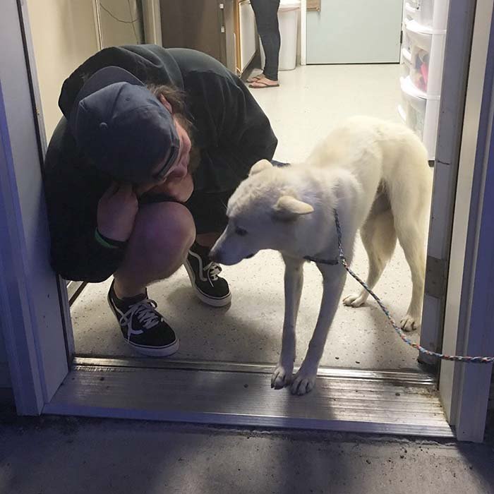 Mujer rescató a perros de una granja en Corea