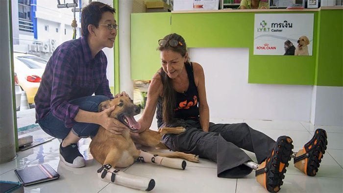Perro recibe prótesis luego de perder sus patas