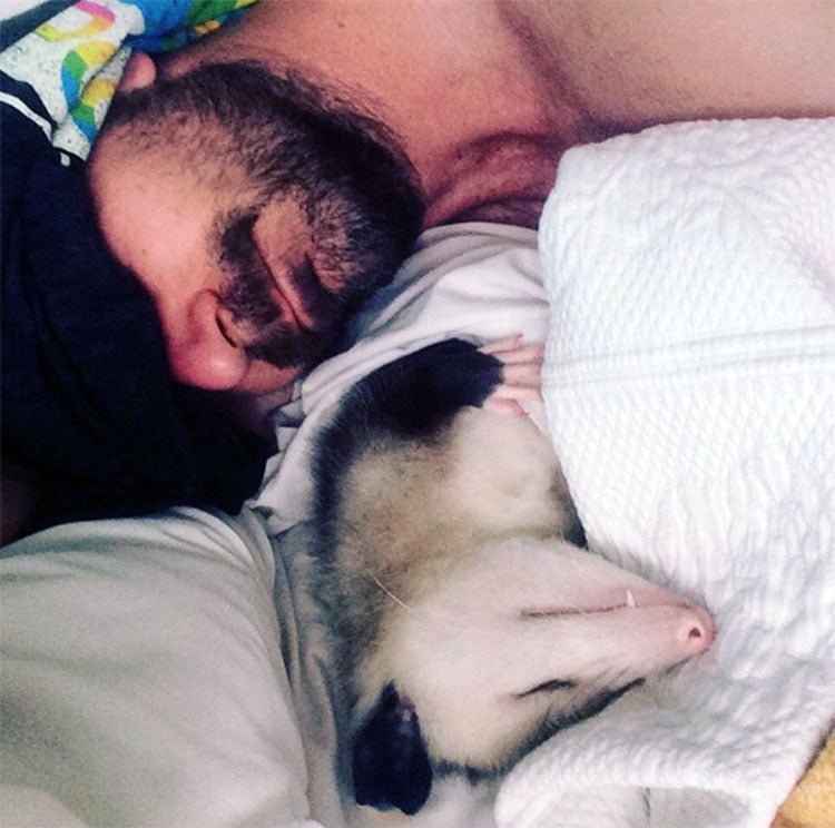 Poppy y Trevor