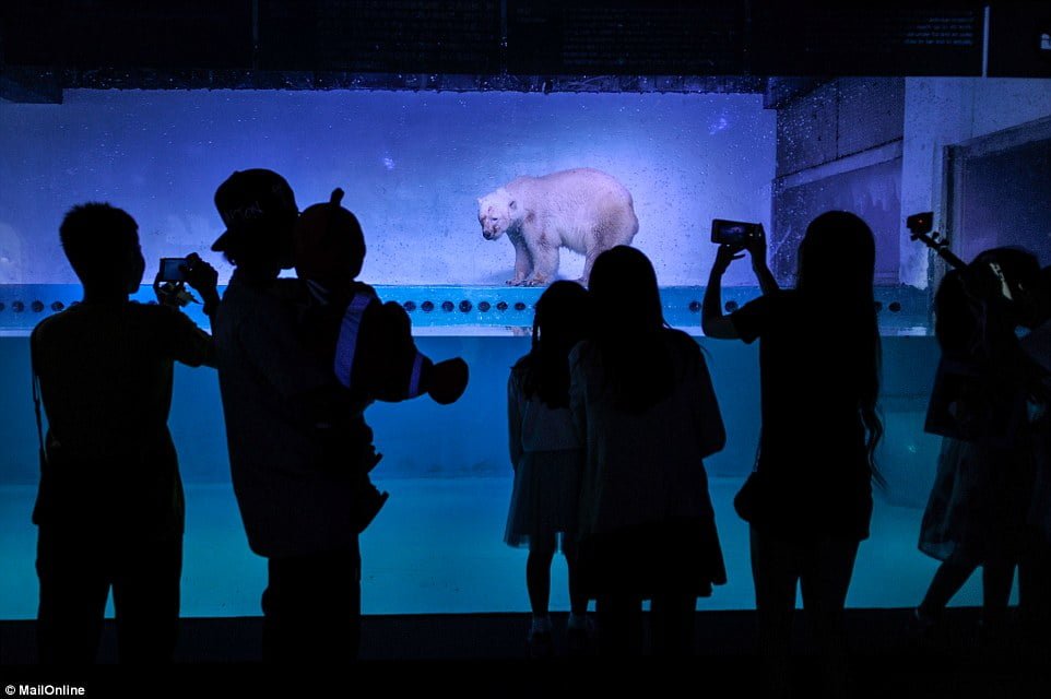 Zoo Grandview