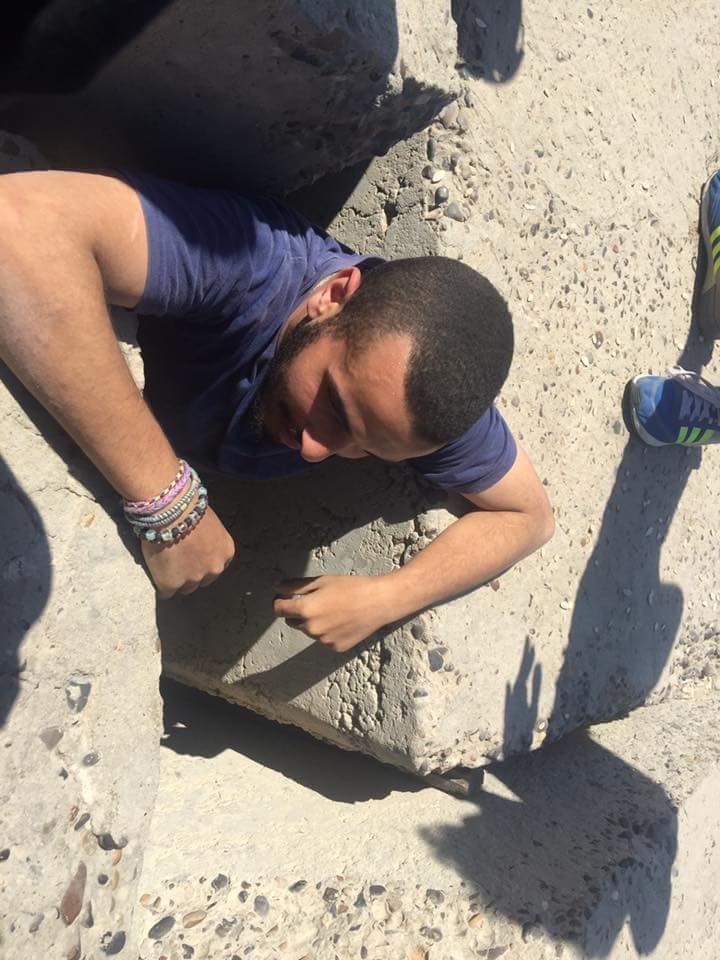 Buscando al cachorro