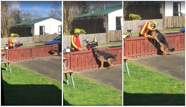 Cartero para todos los días en la misma casa para saludar a un perro