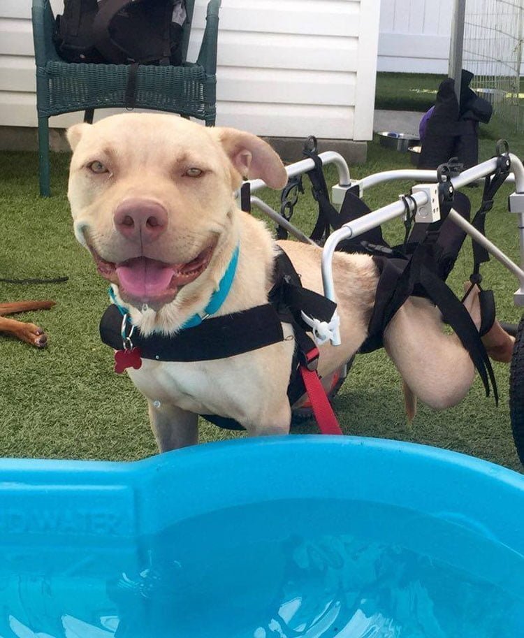 Eddie es feliz