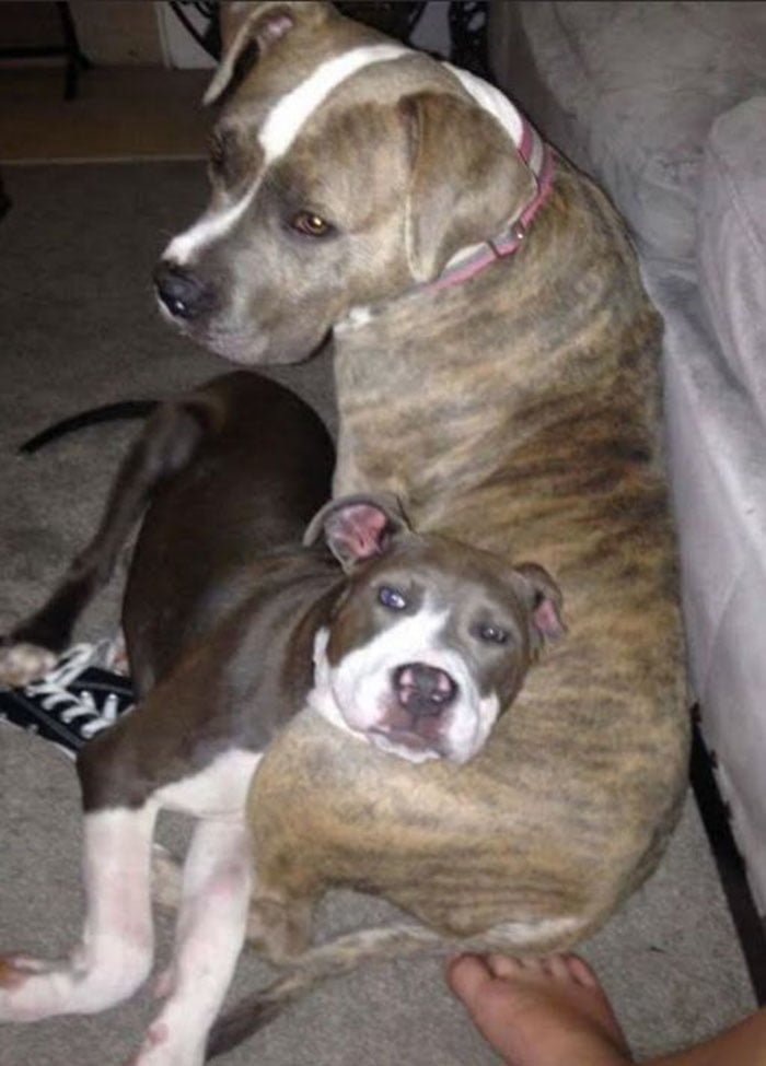 Eve y su hermano adoptivo