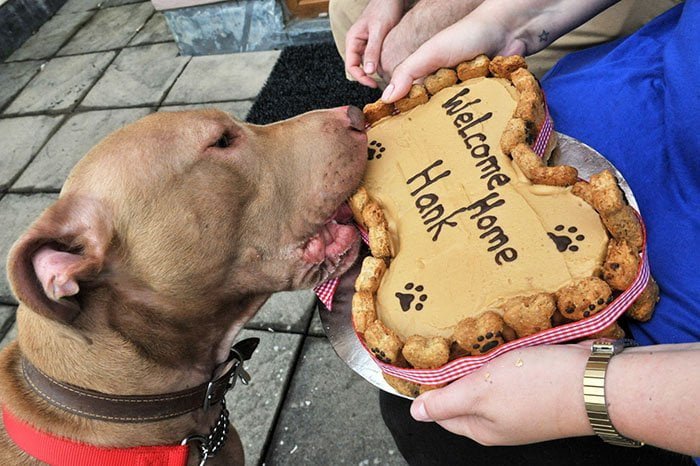 Hank es recibido con una torta