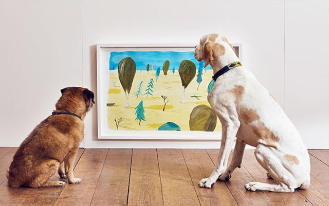 Los perros también aprecian las maravillas del arte gracias a la primera exposicion de arte contemporánea para perros