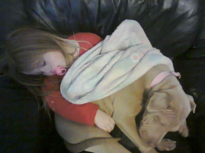Madisson duerme con Darla
