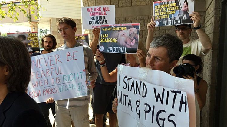 Manifestación por caso de cerdos hacia el matadero