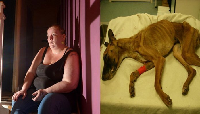 Mujer es declarada culpable por causar sufrimiento innecesario a una perra en estado de desnutrición
