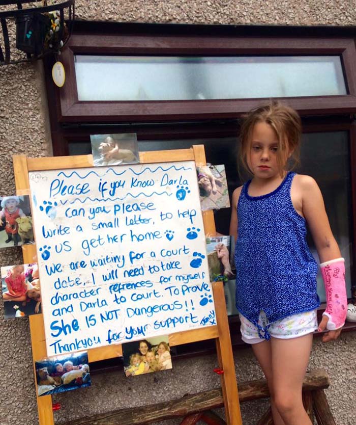 Niña con autismo pide que devuelvan su perra Niña con autismo pide que devuelvan su perra