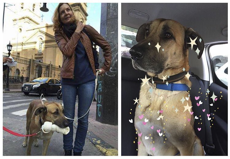 Olivia y Rubio
