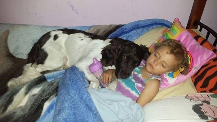 Perro cuida día y noche a niña epiléptica