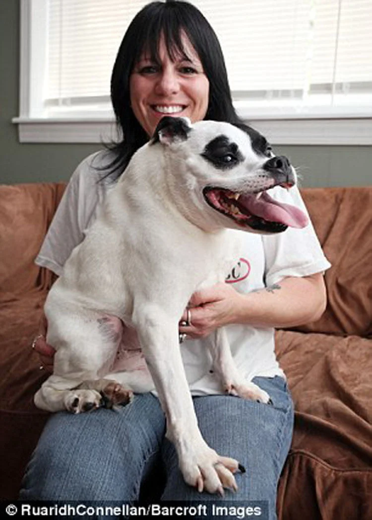 Perra jorobada y su humana