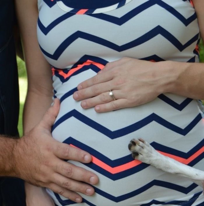 Perro sale en sesión de fotos de maternidad