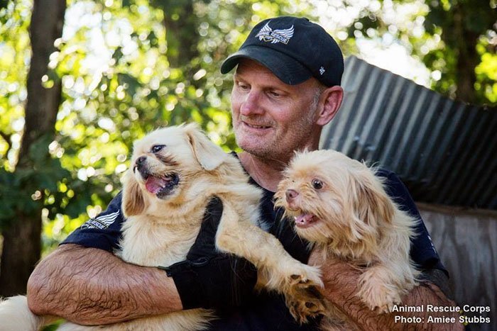 Perros no habían visto la luz del sol