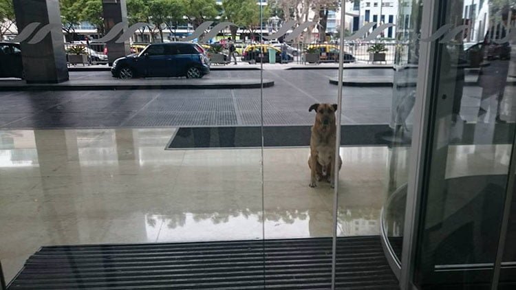 Rubio espera a Olivia en el Hotel