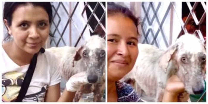 mujeres salvaron a un perro