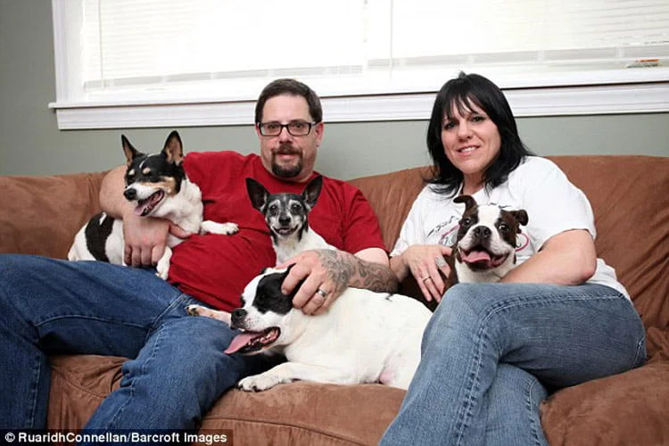 las personas que afirman desconocen por completo la situación