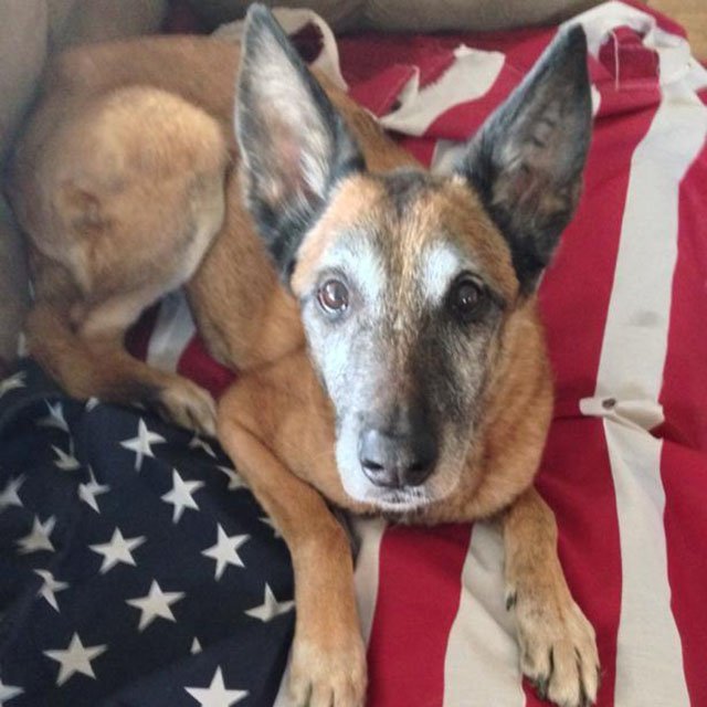 Bernie