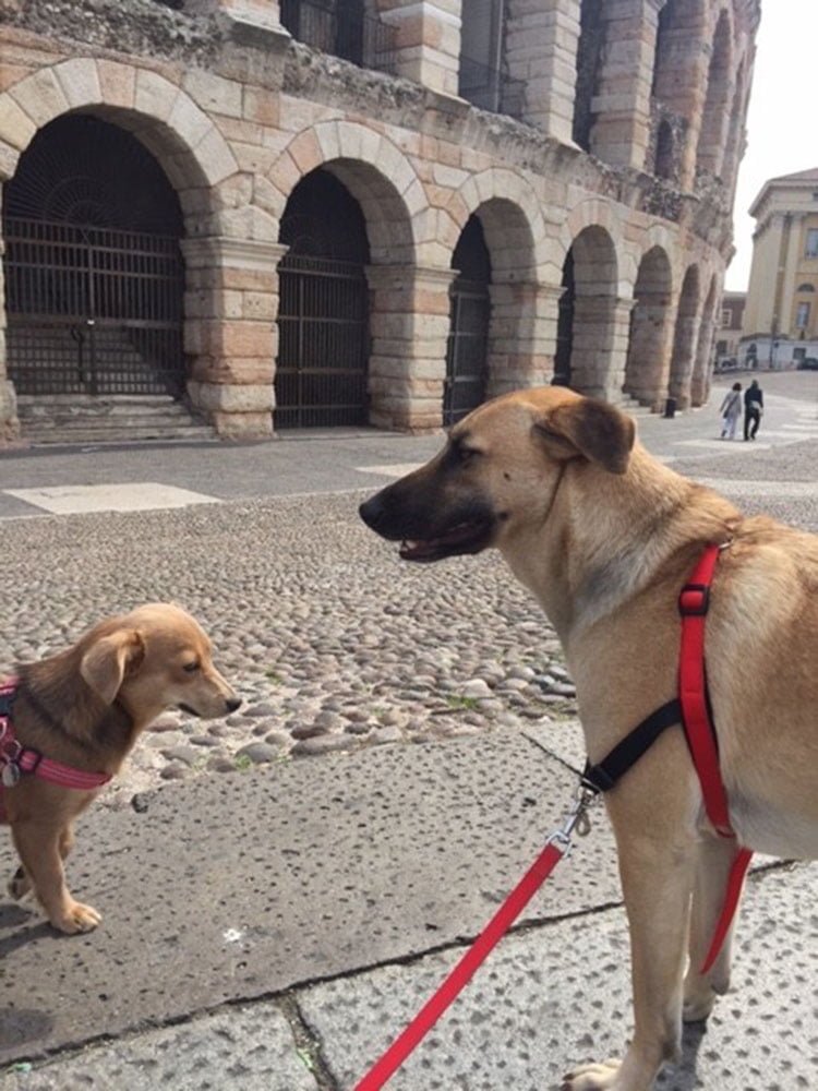 Boonrod y su hermano