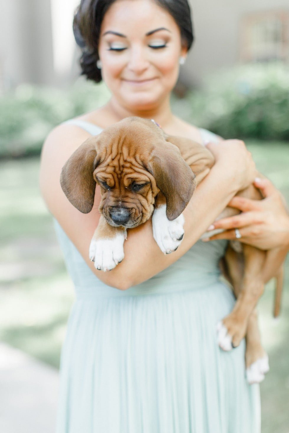 Dama de honor y un cachorro