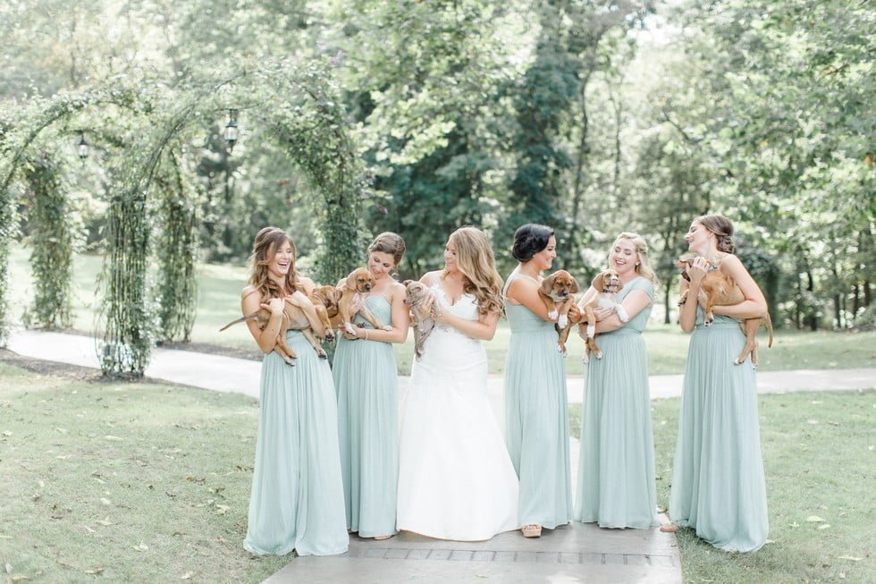 Damas de honor y cachorros
