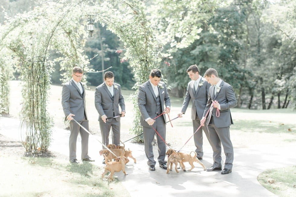 Padrinos y cachorros