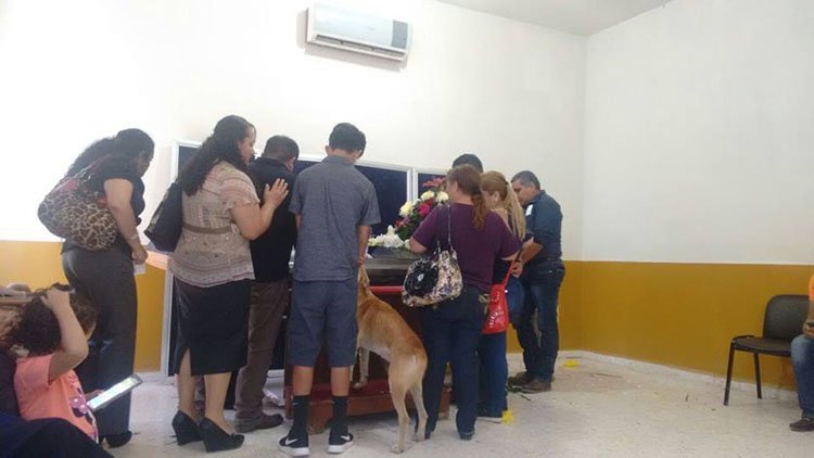 Perro aparece en el funeral donde velaban a su humana