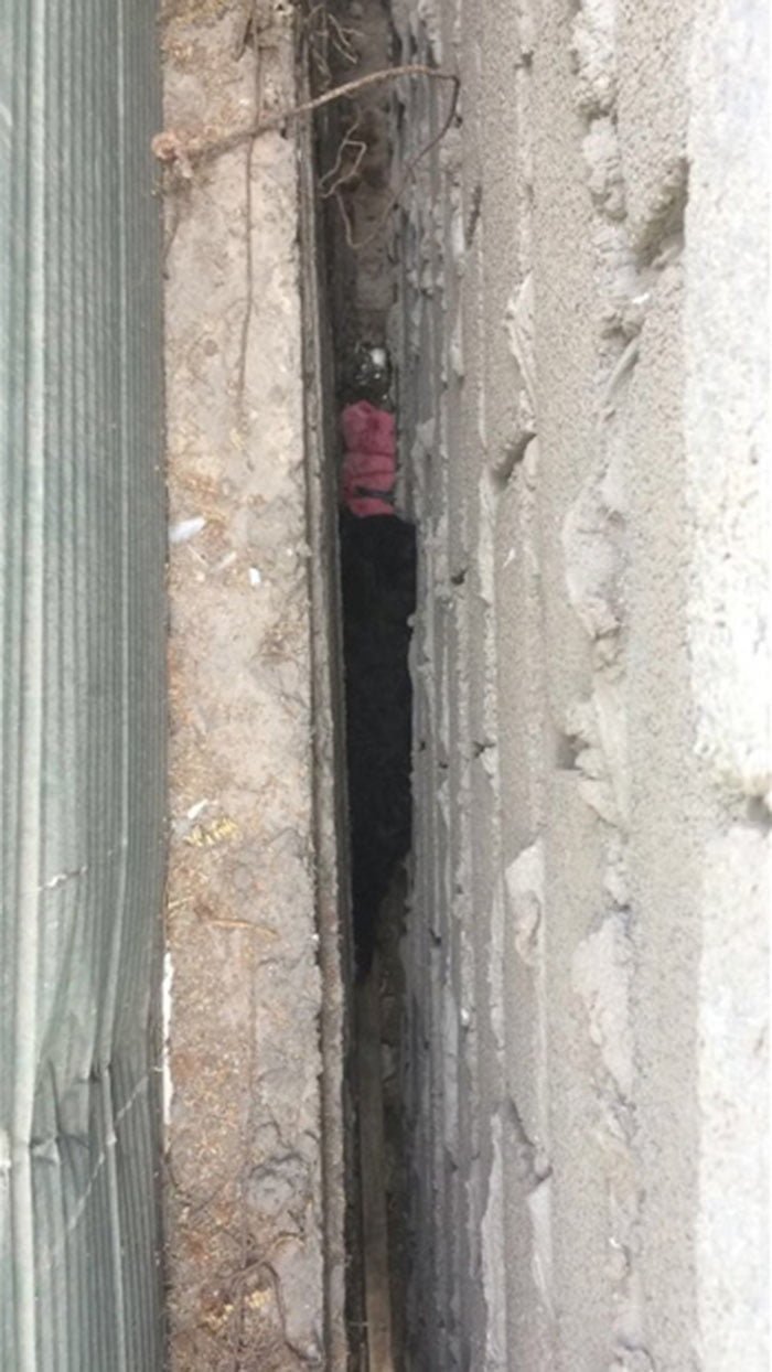 Perro atrapado en medio de dos paredes
