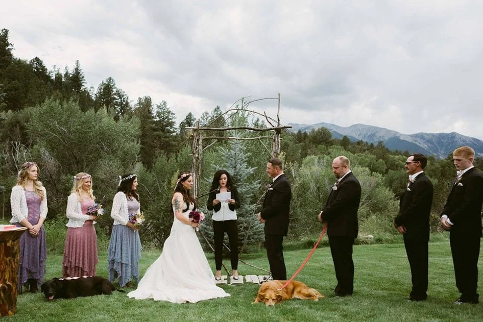 Perro moribundo en la boda Perro moribundo en la boda