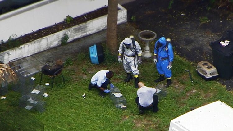 Rescatan animales en Broward