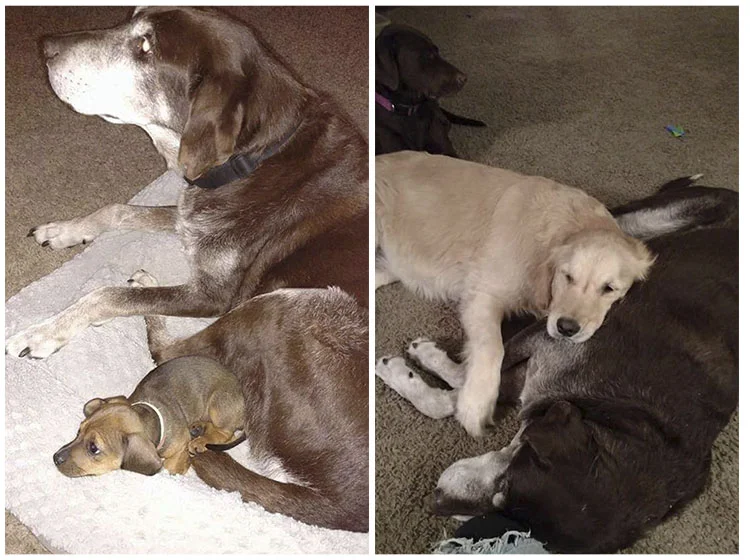 Bennie y sus hermanos