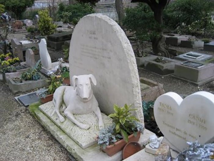 cementerio canino cementerio canino