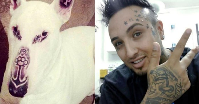 Este inconsciente hombre realizó múltiples tatuajes a su perro y después publicó una foto de éste en sus redes sociales