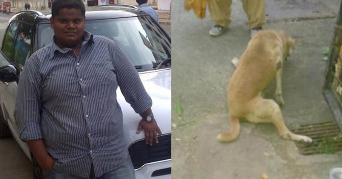 Hombre atropelló a un perro por haber orinado en las llantas de su auto