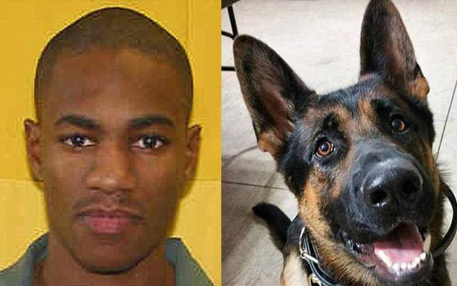 Hombre fue condenado a 45 años de prisión por disparar a un perro de la policía