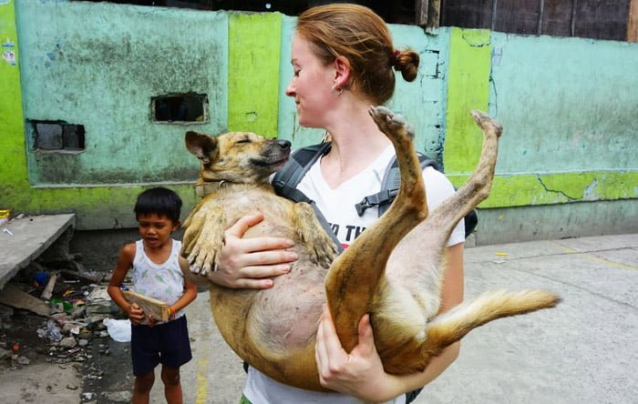 Mujer brinda su ayuda a perros abandonados