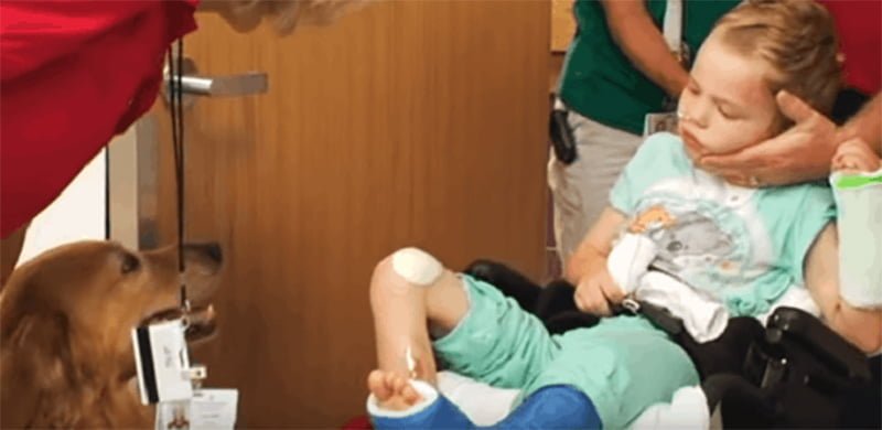 Niño en estado vegetativo