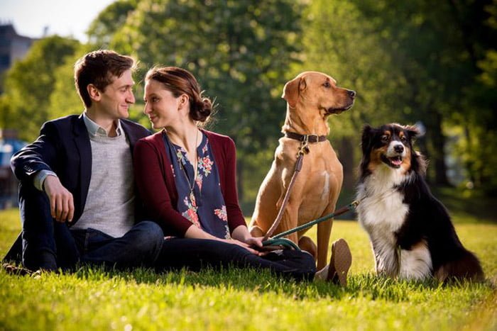 Perros se conocieron en un parque canino y ahora sus humanos se casarán 8 Parque canino