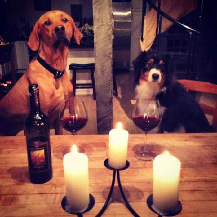 Riggins y Tucker Riggins y Tucker
