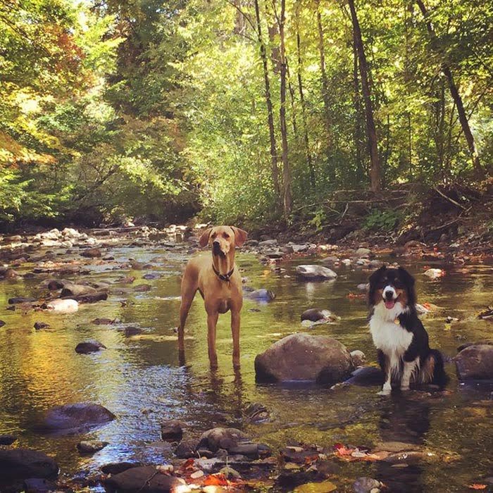 Tucker y Riggins tuvieron una gran conexión desde que se conocieron Tucker y Riggins tuvieron una gran conexión desde que se conocieron
