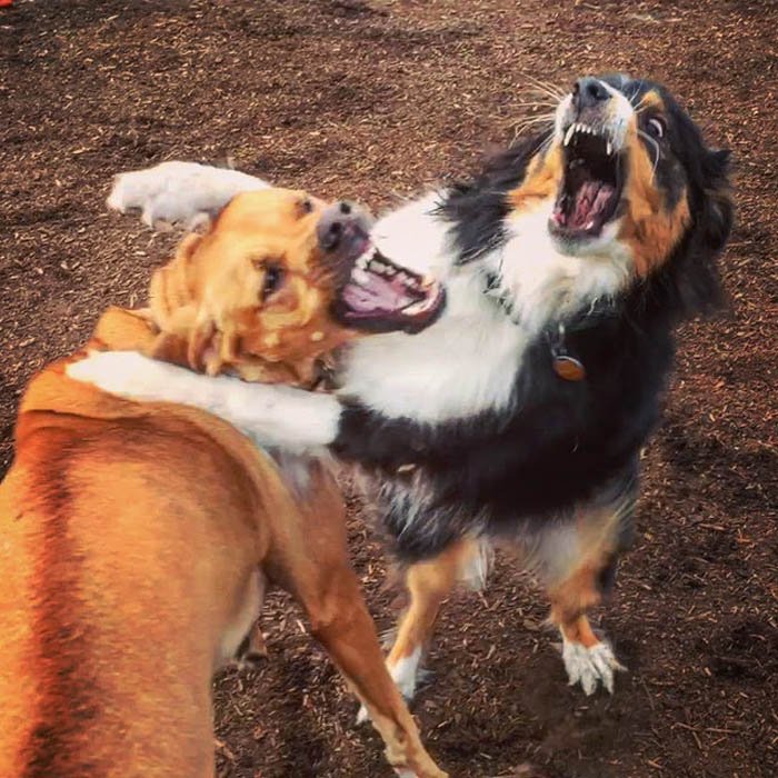 Tucker y Riggins Tucker y Riggins