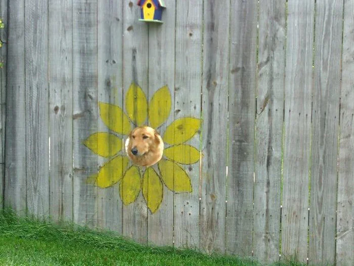 Agujero con diseño de girasol Ventana para perros
