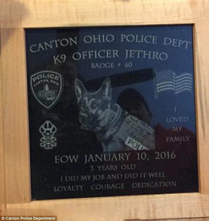 Hombre fue condenado a 45 años de prisión por asesinar a un perro policía 1 lápida