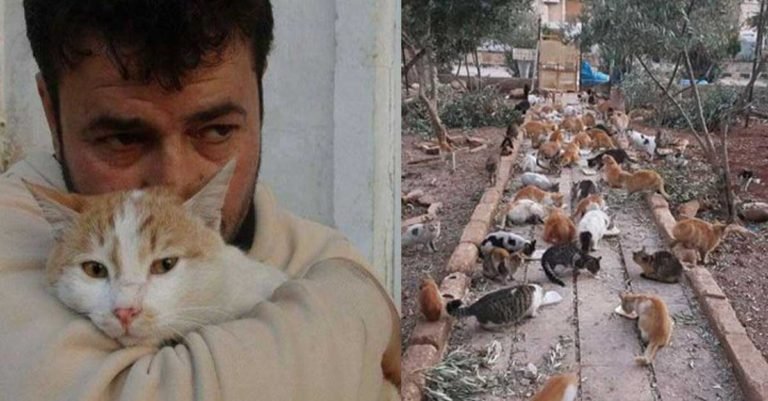 Aunque un refugio para animales en Alepo fue bombardeado este hombre no se rinde