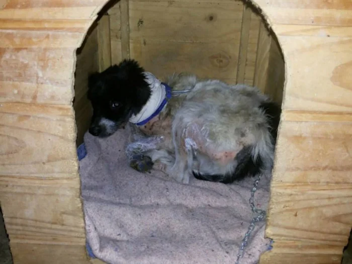 Anja descasó cálidamente.