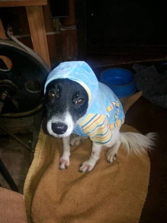 Anja estuvo recuperándose