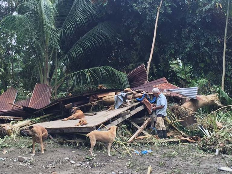 Adulto mayor no abandonó a sus perros a pesar de que el huracán Otto arrasó con su casa