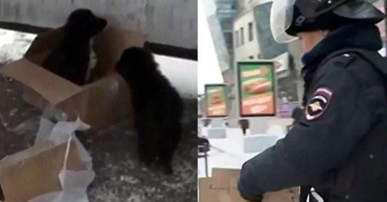 Brigada de explosivos se preparaba para hacer estallar unos «paquetes sospechosos» pero no imaginaron lo que había en el interior