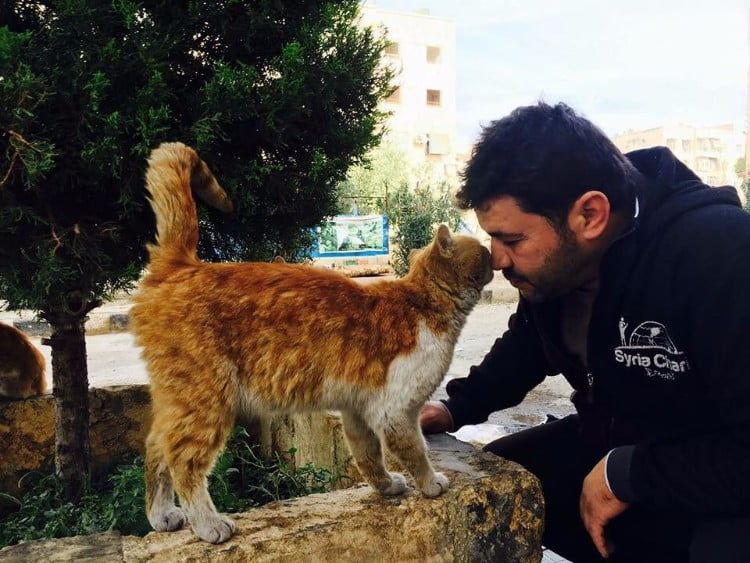 Cat Man Aleppo
